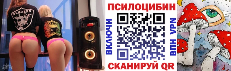 где продают   Чекалин  Галлюциногенные грибы Magic Shrooms 