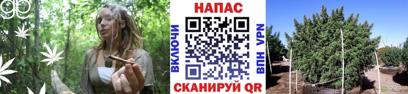 даркнет сайт  KRAKEN рабочий сайт  Шишки марихуана VHQ  Чекалин 